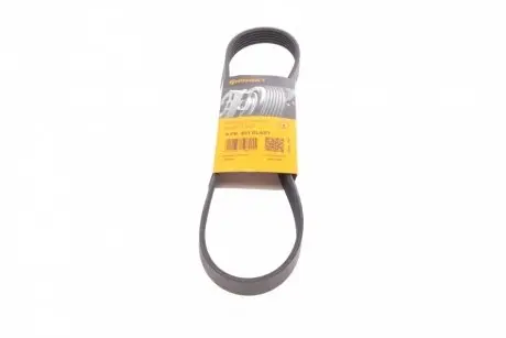 Ремінь генератора Ford Transit 2.0Di/TDCi 00- (-AC) CONTINENTAL Contitech 6PK831 ELAST