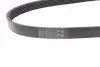Ремень генератора VW Golf VI/Caddy III 1.6-2.0 TDI 10-/Skoda Octavia 09-13/Audi A3 1.6/2.0TDI 03-13 CONTINENTAL Contitech 6PK842 ELAST (фото 2)