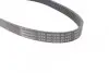 Ремень генератора VW Golf VI/Caddy III 1.6-2.0 TDI 10-/Skoda Octavia 09-13/Audi A3 1.6/2.0TDI 03-13 CONTINENTAL Contitech 6PK842 ELAST (фото 3)