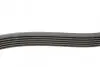 Ремень генератора Citroen C1/Peugeot 107/Toyota Aygo 1.0 i 05-14 CONTINENTAL Contitech 6PK850 (фото 2)