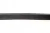 Ремень генератора Ford Fiesta 1.3 96-03/Opel Movano 2.5D 98-00/Mazda 121 1.3 96-03 CONTINENTAL Contitech 6PK862 (фото 3)