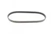 Ремень генератора Ford Fiesta 1.3 96-03/Opel Movano 2.5D 98-00/Mazda 121 1.3 96-03 CONTINENTAL Contitech 6PK862 (фото 4)