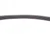 Ремень генератора Toyota Auris/Yaris 1.33VVTi 08-12/Nissan Micra 1.0/1.3 92-00 CONTINENTAL Contitech 6PK884 (фото 4)