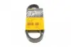 Ремінь генератора Toyota Auris/ Yaris 1.33 09-12/Audi 80/A6 1.9TDI 91-07/Nissan Maxima 2.0/3.0 95-00 CONTINENTAL Contitech 6PK890 (фото 1)