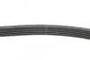 Ремінь генератора Toyota Auris/ Yaris 1.33 09-12/Audi 80/A6 1.9TDI 91-07/Nissan Maxima 2.0/3.0 95-00 CONTINENTAL Contitech 6PK890 (фото 2)