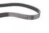 Ремінь генератора VW Caddy/Golf/Skoda Octavia 1.6/2.0 04-15/Fiat Ducato 2.5TDI 94-02/Scudo 1.6 96-06 CONTINENTAL Contitech 6PK900 (фото 2)