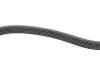 Ремінь генератора VW Caddy/Golf/Skoda Octavia 1.6/2.0 04-15/Fiat Ducato 2.5TDI 94-02/Scudo 1.6 96-06 CONTINENTAL Contitech 6PK900 (фото 3)