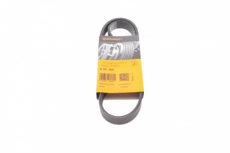 Ремінь генератора VW Caddy/Golf/Skoda Octavia 1.6/2.0 04-15/Fiat Ducato 2.5TDI 94-02/Scudo 1.6 96-06 CONTINENTAL Contitech 6PK900