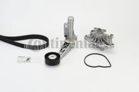 Автозапчасть Contitech 6PK905EXTRAWP1