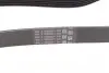 Ремінь генератора VW T4/Caddy 1.9D/TD 90-03/Toyota Corolla/Auris 1.4D 06-14/Kia Rio 1.25 17- CONTINENTAL Contitech 6PK923 (фото 3)