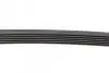 Ремінь генератора Mazda 6 2.5 13-/Toyota Corolla 1.4 D 04-14 CONTINENTAL Contitech 6PK970 (фото 3)