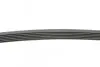 Ремінь генератора Peugeot Partner/307/508 02-/Citroen Berlingo/C2/C3/C4/C5 1.6 HDi 04- CONTINENTAL Contitech 6PK976 (фото 2)
