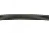 Ремень генератора BMW 1 (F20/F21)/3 (F30/F80) 1.6i 11-/Honda Civic VII/FR-V 1.7i 01- CONTINENTAL Contitech 6PK986 (фото 2)