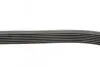 Ремень генератора Renault Megane/Scenic 1.9dCi/2.0 03-/Nissan Juke 1.6 10- CONTINENTAL Contitech 7PK1125 (фото 2)