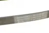Ремень генератора Renault Megane/Scenic 1.9dCi/2.0 03-/Nissan Juke 1.6 10- CONTINENTAL Contitech 7PK1125 (фото 4)
