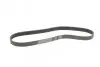 Ремень генератора Renault Megane/Scenic 1.9dCi/2.0 03-/Nissan Juke 1.6 10- CONTINENTAL Contitech 7PK1125 (фото 5)
