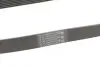 Ремінь генератора Nissan Qashqai 1.6 07-13/Toyota Land Cruiser Prado 3.0D 02-09 CONTINENTAL Contitech 7PK1153 (фото 3)