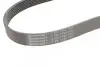 Ремінь генератора Nissan Qashqai 1.6 07-13/Toyota Land Cruiser Prado 3.0D 02-09 CONTINENTAL Contitech 7PK1153 (фото 4)