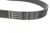 Ремінь генератора Iveco 2.3JTD/Renault Trafic III 1.6dCi 14- ALT, (-AC) CONTINENTAL Contitech 7PK1325 (фото 2)