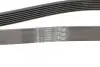 Ремень генератора Toyota Avensis 2.0 D-4D 08-18 CONTINENTAL Contitech 7PK1370 (фото 3)