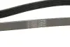 Ремінь генератора Renault Kangoo/Megane III/Scenic III 1.2TCe 12- CONTINENTAL Contitech 7PK1440 (фото 4)