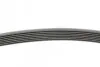 Ремінь генератора Toyota Camry 3.5 V6 11-17/ Lexus GS/ IS/ ES 2.5-3.5 05- CONTINENTAL Contitech 7PK1549 (фото 2)