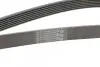 Ремінь генератора Toyota Camry 3.5 V6 11-17/ Lexus GS/ IS/ ES 2.5-3.5 05- CONTINENTAL Contitech 7PK1549 (фото 3)