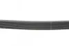 Ремінь генератора BMW 5 (E39/G30/F90)/7 (E38/F01/F02/F03/F04) 3.5-6.0 96- CONTINENTAL Contitech 7PK1629 (фото 2)
