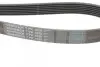 Ремінь генератора BMW 5 (E39/G30/F90)/7 (E38/F01/F02/F03/F04) 3.5-6.0 96- CONTINENTAL Contitech 7PK1629 (фото 3)