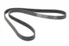 Ремінь генератора BMW 5 (E39/G30/F90)/7 (E38/F01/F02/F03/F04) 3.5-6.0 96- CONTINENTAL Contitech 7PK1629 (фото 4)