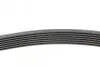 Ремінь генератора BMW 5 (E39/F10)/7 (E38) 3.5i/4.0i 96-03 CONTINENTAL Contitech 7PK1635 (фото 2)