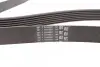 Ремень генератора BMW X5 (E70) 4.8i 07-08/Renault Master/Opel Movano 2.3 dCi/CDTI 10- CONTINENTAL Contitech 7PK1666 (фото 2)