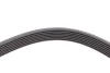Ремінь генератора Renault Megane/Laguna/Scenic 2.0 dCi 07-/Peugeot 508 2.0HDI 18- CONTINENTAL Contitech 7PK1705 (фото 3)