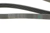 Ремень генератора Honda CR-V 2.0 01-06 CONTINENTAL Contitech 7PK1730 (фото 3)