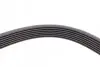 Ремінь генератора BMW 7 (E65/E66/E67) 4.0/4.5D 02-08/Honda Accord 2.0 03-08 CONTINENTAL Contitech 7PK1760 (фото 3)