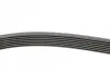 Ремінь генератора Renault Megane/Scenic 1.4 09-/Honda Accord/CR-V 2.2 i-CTDi 04- CONTINENTAL Contitech 7PK1785 (фото 2)
