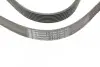 Ремінь генератора Renault Megane/Scenic 1.4 09-/Honda Accord/CR-V 2.2 i-CTDi 04- CONTINENTAL Contitech 7PK1785 (фото 3)