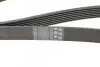 Ремінь генератора Renault Megane/Scenic 1.4 09-/Honda Accord/CR-V 2.2 i-CTDi 04- CONTINENTAL Contitech 7PK1785 (фото 4)