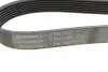 Ремень генератора Land Rover Discovery/Range Rover 2.5 Td5/3.9-4.6 93-04 CONTINENTAL Contitech 7PK1867 (фото 4)