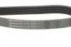 Ремень генератора Renault Master 3.0dCi/Opel Movano 3.0dTi 03-/Toyota Rav4 2.0 06-13/Avensis 01-09 CONTINENTAL Contitech 7PK1920 (фото 3)