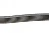 Ремінь генератора Toyota Camry/Avensis/RAV4 2.0/2.4 00-/Land Cruiser Prado 3.0D 00- CONTINENTAL Contitech 7PK1933 (фото 2)