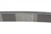 Ремінь генератора Toyota Camry/Avensis/RAV4 2.0/2.4 00-/Land Cruiser Prado 3.0D 00- CONTINENTAL Contitech 7PK1933 (фото 3)