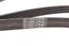Ремень генератора MB E-class (W212)/S-class (W221) 09- CONTINENTAL Contitech 7PK2005 (фото 3)