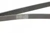 Ремінь генератора Toyota Camry/Land Rover 3.5i/4.0/4.6 81- CONTINENTAL Contitech 7PK2090 (фото 3)