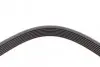 Ремінь генератора MB C-class (W203/W204/S203/S204) 02-14 CONTINENTAL Contitech 7PK2418 (фото 3)