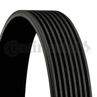 Поликлиновый ремень Contitech 8PK1095
