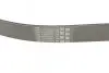 Ремінь генератора Mazda 3/5/6 2.0 DI/CD 02-10 CONTINENTAL Contitech 8PK1226 (фото 3)