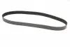 Ремінь генератора Mazda 3/5/6 2.0 DI/CD 02-10 CONTINENTAL Contitech 8PK1226 (фото 5)