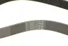 Ремінь генератора BMW 3 (F30/F80)/5 (F10)/ X5 (F15/F85)/ X6 (F16/F86) 13- CONTINENTAL Contitech 8PK1390 (фото 4)