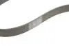 Ремінь генератора BMW 3 (F30/F80)/5 (F10)/ X5 (F15/F85)/ X6 (F16/F86) 13- (S55) CONTINENTAL Contitech 8PK1395 (фото 5)